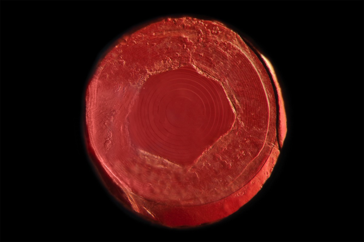 Stacks Image 1131