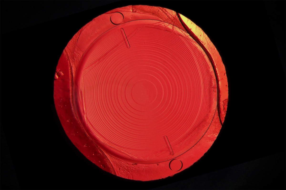 Stacks Image 1149